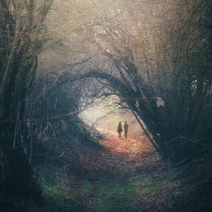 学生露出🐻让老师玩作文
